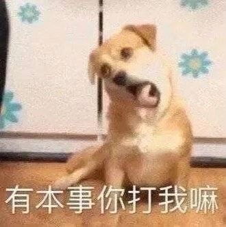 不要顶帖啦看到首页所谓的切割帖我只想