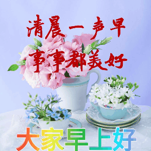 8张聊天不用打字的祝福图片,创意好看的清晨早上好问候动画表情包
