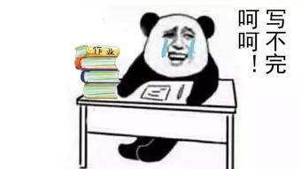 是谁发明了该死的作业