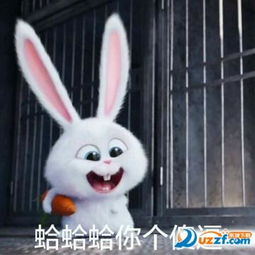 爱宠大机密兔子表情爱宠大机密兔子表情图片高清无水印完整版下载东坡...