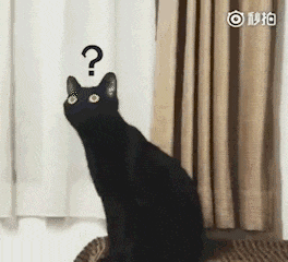 这演的都是啥啊光看脸了
