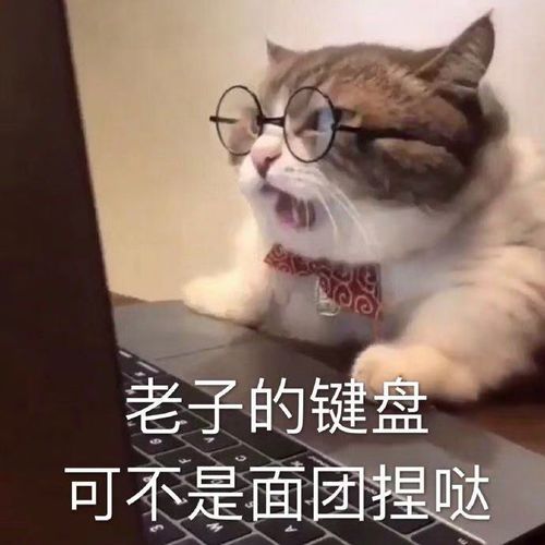 随意