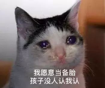 抖音热门表情包一个人的夜我的心应该放在哪里
