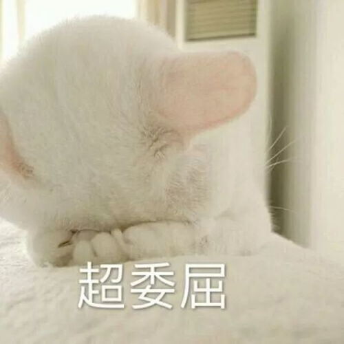 大学不想谈恋爱的十种症状,你中了几条