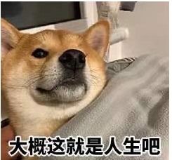 2020年热梗表情包集锦,笑到口罩裂开哈哈哈