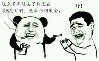 你们城里人真会玩表情包下载你们城里人真会玩表情包安卓版ios版下载游戏吧手游网