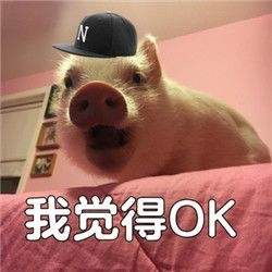 探险者还是冒险者福特探险者国产在即