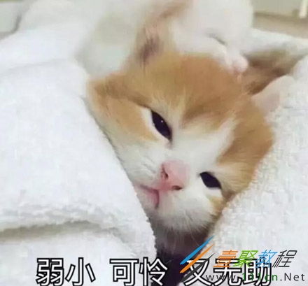 可怜又无助的表情