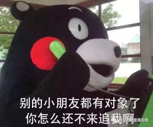 丽水缙云版土味情话齁甜来袭糟糕是心动的感觉