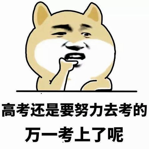 家长要注意了,高考仅剩1天,这3点容不得半点马虎,望周知考试周知高考网易订阅