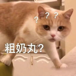 变态素不相识的日本男女晚上必须接吻全程高能...看完惊呆了