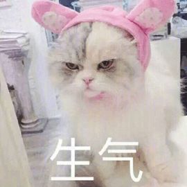 留学生这些让人气不打一出来的问题,能别再问了吗