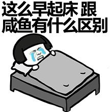 睡睡睡就知道睡表情包知道