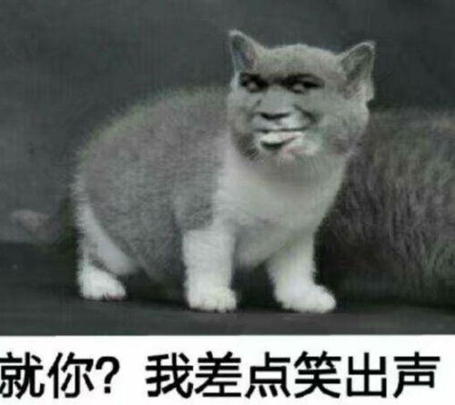 胖虎差点笑出声表情包动物界