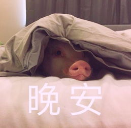 第一批80后已被00后气炸了