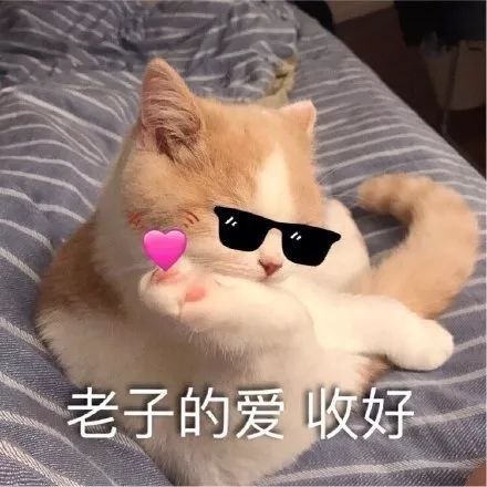 聊天斗图表情包i算了,饶你一命