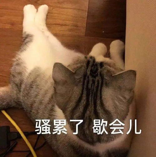 尼在干嘛鸭