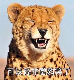 为什么别人笑几声就完了,你却像个哮喘的驴一样停不下来