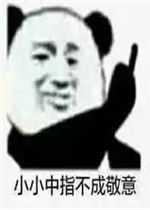 小小中指不成敬意表情包好玩吗小小中指不成敬意表情包怎么玩用户评论