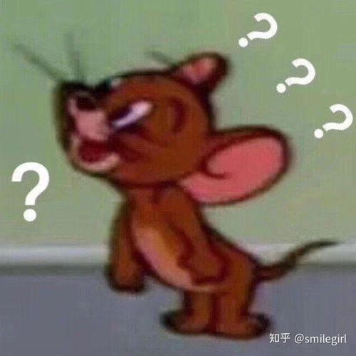 王嘉尔最喜欢粉丝们叫他什么