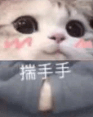 2021年3月31日早鸟报