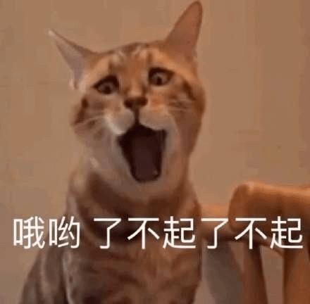 身为李湘挂件的王岳伦,为什么总想软饭硬吃