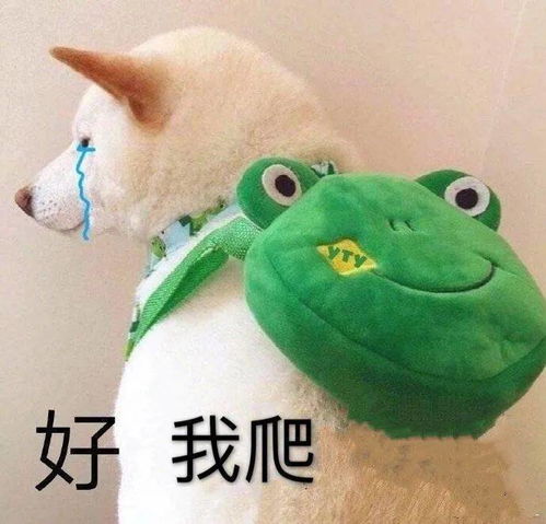 摸鱼人,能有什么坏心眼