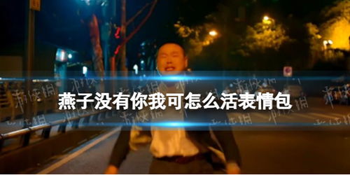 燕子没有你我可怎么活表情包燕子不要离开我表情包gif