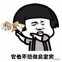 有内涵的荷兰猪猪粮,那些你不知道的成分功效