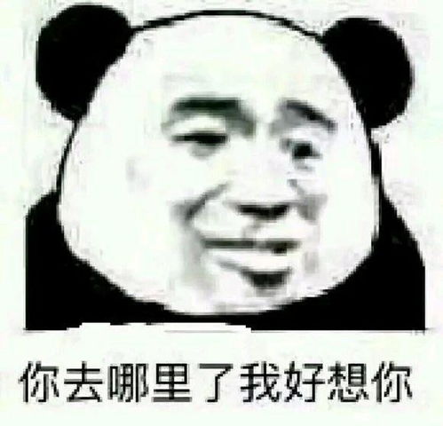 表情包回复爱你哦可聊天