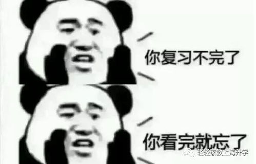 各年级上学期语数外期末试题下载小学一年级到高三