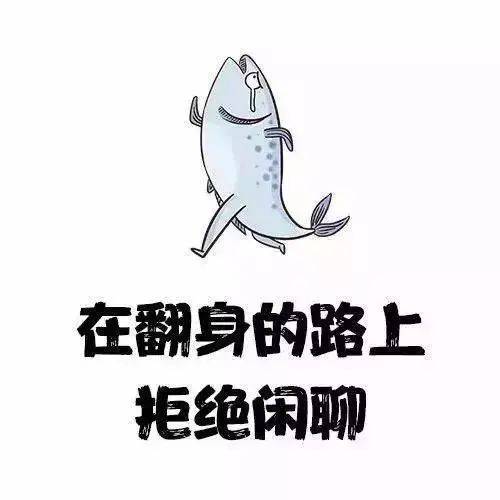 上岸同学都喜欢用的头像和壁纸最后一张就针对你