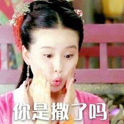 考验演技看表情包孙俪不敌刘涛,雪姨无人能敌