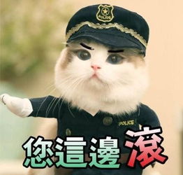一张图告诉你为啥不买iphone手机