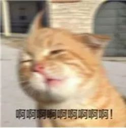第一次滑单板,我差点告别了下半身的幸福