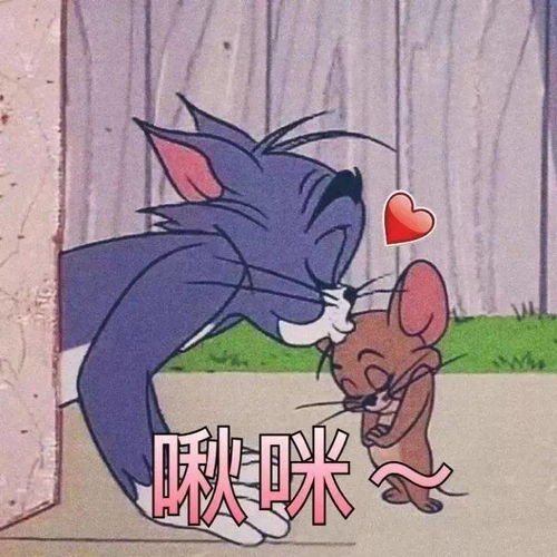 表情包聊天经常用到的表情包