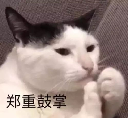 抖音热门表情包一个人的夜我的心应该放在哪里