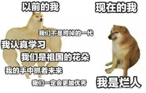 一只总在涩图中出现的傻狗,怎么成了年轻人对抗虚无的武器