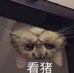 食物并非越新鲜越好,这种肉就爱唱反调