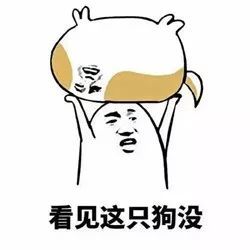 这个情人节没受到暴击,竟然还被发了女朋友