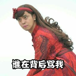 网红朱碧石表情包
