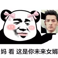 妈,你看,这是你未来女婿