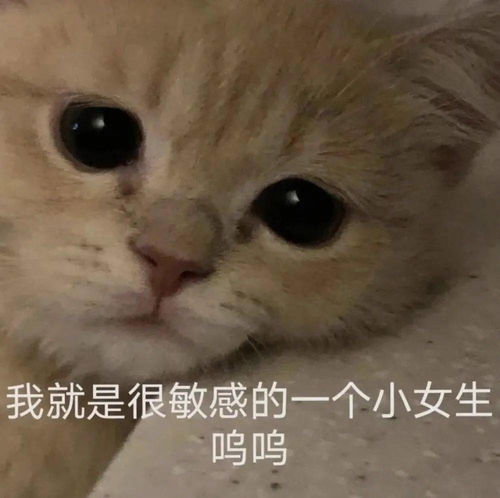 表情包一切尽意,百事从欢