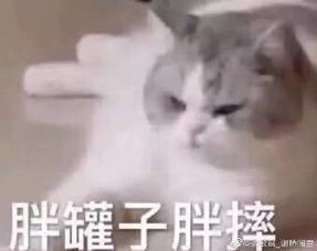 徽敏瑶谢桥闻雪的微博微博