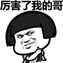 传授你一本表情包秘籍,包你斗图百战百胜