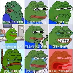 雨露均沾体走红,浙江版全集合在此