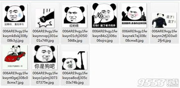 你是狗吧表情包免费版我想要养一条像你这样的狗表情包高清版下载9553下载