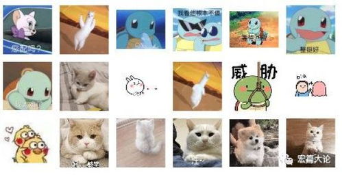 刚刚,微信重大更新朋友圈可用表情包评论,网友嗨翻来斗图啊
