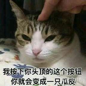 有哪些6到飞起的表情包