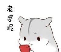 哄老婆表情包老婆大人对不起好喜欢老婆我老婆超级可爱